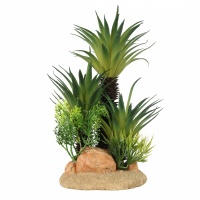 AQUA DELLA Растение для аквариумов "Sago Palm M", 17x10,5x22см