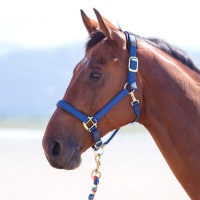 SHIRES Недоуздок "Topaz", синий