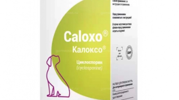 Калоксо – эффективный аналог Апоквела