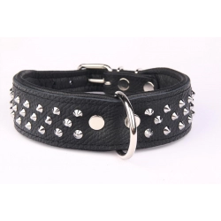 ZOOLESZCZ Ошейник для собак "Studs", черный