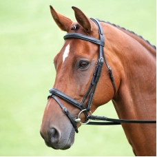SHIRES SALISBURY Оголовье для лошади "Bodenham", черный